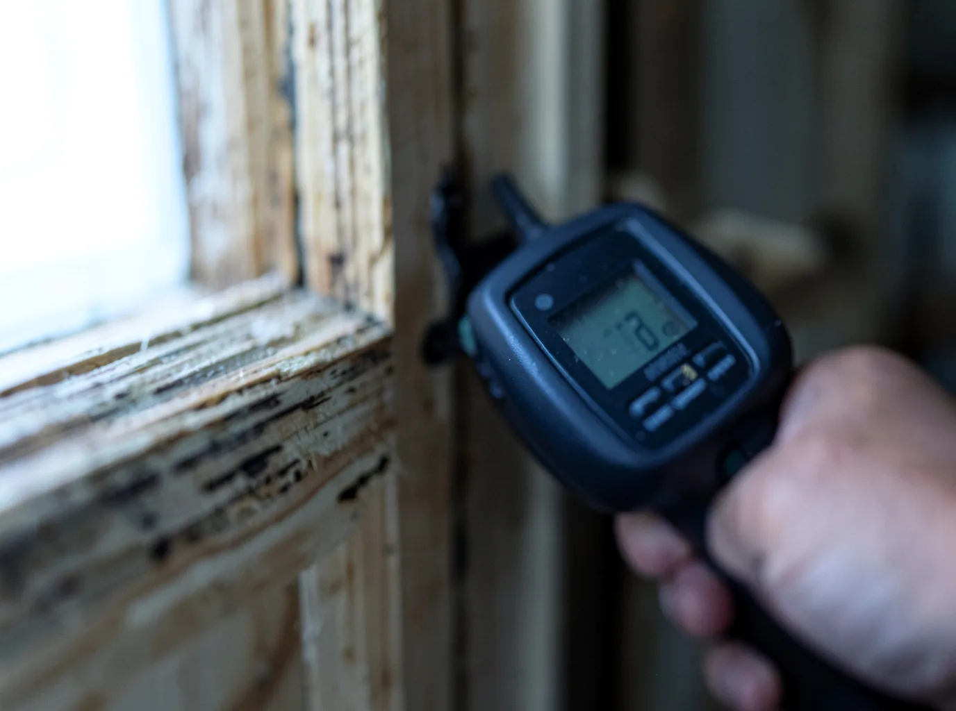 Moisture Inspection And Documentation in West Chesterfield, NH
